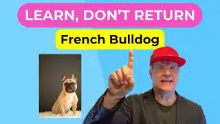 🐶French Bulldog- Learn📚, Don't🚫Return↩️ #petzpaws#frenchbulldog #frenchie #learndontreturn