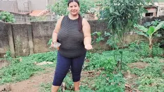 SAF Sem Escavar Plantio De Mamona Vermelha #plants  #naturalagriculture #agroforestry