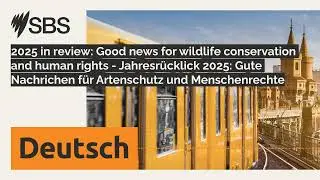 2025 in review: Good news for wildlife conservation and human rights - Jahresr&uuml;cklick 2025: Gute...