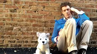 Curbing My Fake Dog