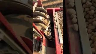 Vishwakarma automatic potato machine|#viralvideo #farming #tractor #short@EDUCATEDFARMER