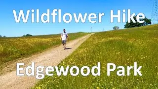 Wildflower Hike at Edgewood Park - Redwood City, CA