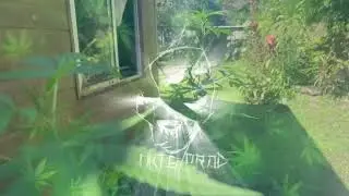 NKTS_PROD ✘ O2KD ✘ LUTAN FIAH ✘ HEUSS LENFOIRE  - BOSSMAN REGGAE ZKZV