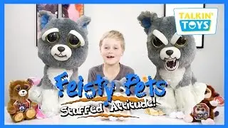 Feisty Pets | Talkin' Toys