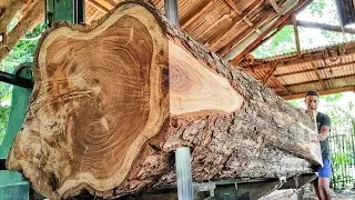 The aesthetic lines of the giant teak are produced into thick, expensive boards.