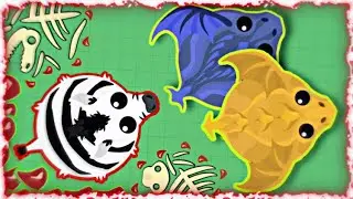 Mope.io Top 5 EPIC KILLS With ZEBRA !