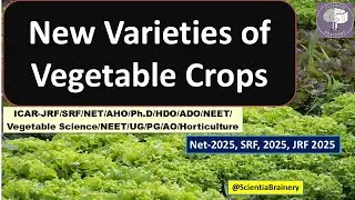 New Varieties of vegetables for 2025 ICAR NET/JRF/SRF/AHO/AAO #horticulture #scientiabrainery