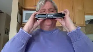 Happy Birthday on 64 Note Chromatic Harmonica - Take 2