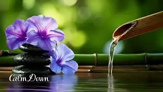 momento zen... menos pressa e mais presen&ccedil;a.  #zen #silencio #silenciosagrado