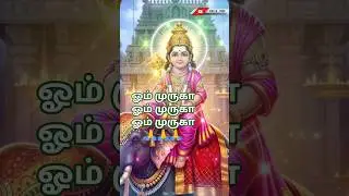 muruga #ஓம்முருகா #ommuruga #murugan #hindugod #god #tamil #ommurugaom