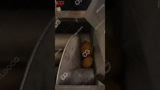 Potato Washing, Grading and Packaging Production Line