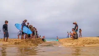 WE DESTROYED THIS ECOSYSTEM  🤯￼