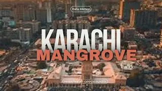 What I found: Project Mangroves in Korangi