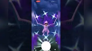 I caught a Shadow Shiny Aerodactyl in Pok&eacute;mon GO!