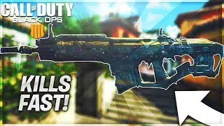 Is The RAMPART Overpowered????!!!!??? Black Ops 4 Gun Buff Review