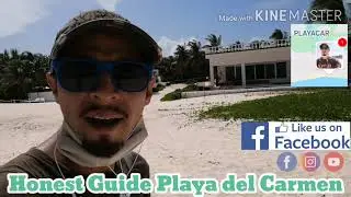 Playa Car Beach update, vacation rentals, beach house, Sr. Frogs, Playa del Carmen, Riviera Maya