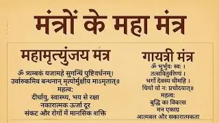 सुलोचना की दुनिया is live