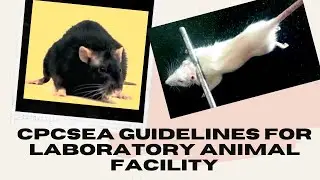 CPCSEA GUIDELINES FOR LABORATORY ANIMAL FACILITY | MRM301T Research Methodology & Biostatistics