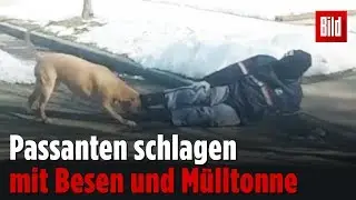 Hund verbei&szlig;t sich in Postboten