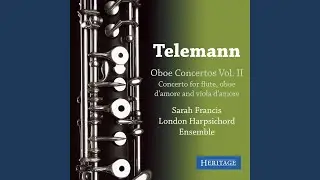 Concerto in E Major for Flute, Oboe d'amore and Viola d'amore, TWV 53E1: II. Allegro