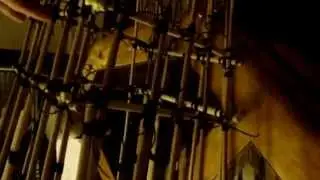 How to make a primitive fish trap