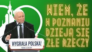 Czy rząd szykuje prywatyzację ENEA S.A.?