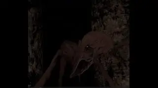 scary descent 2 VR wild time with the bros
