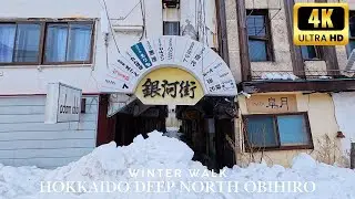 【4K】Hokkaido Obihiro Winter Walk | Station Area & Deep 