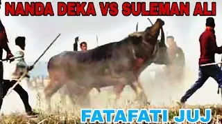 NANDA VS SELMAN || 💥💥 #mohjuj #mohjujrajaofficial #MOHORJUJ