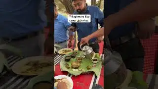 Welcome to Baghmora Eco camp 🏕️.#ytshorts #shorts #ytviral #baghmoraecocamp #visit #explore #food