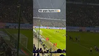 HSV gegen Bayern M&uuml;nchen 2-2