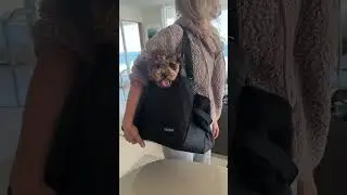 &ldquo;Love this pet carrier! My dog is very comfy in it, we use it every day&rdquo; #dogcarrier #petcarrier
