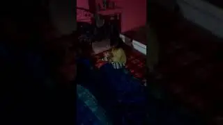 Ramkumar(3)