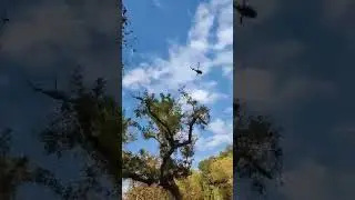 enoplos.gr