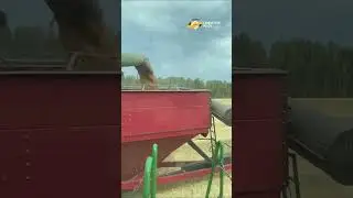 😅 А у тебя такое было? #комбайн #уборкаурожая #сельскоехозяйство