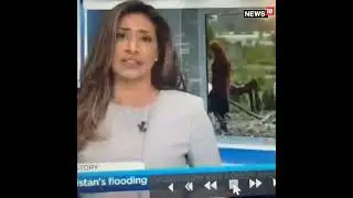Канадский ведущий новостей проглотил муху в прямом эфире, что вызвало у зрителей бурю негодования...
