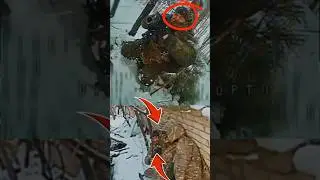 Лес молчал&hellip; решение пришло с неба&raquo;