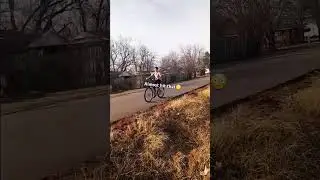 Close call