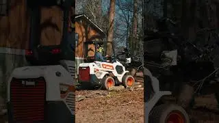 Your Go-To Tree Service in Georgia | See Us In Action