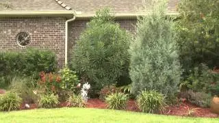 Repetition in the Landscape, Southern Gardening, Sept. 26, 2012