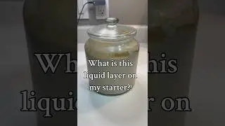 #sourdoughstarter #hooch #sourdoughbread #sourdoughrecipe #sourdough