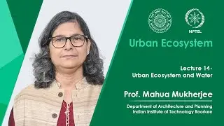 Lecture 14: Urban Ecosystem and Water