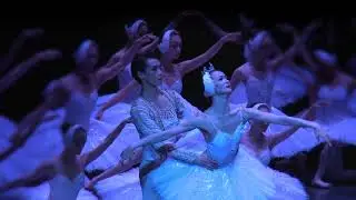 DER GR&Ouml;SSTE SCHWANENSEE DER WELT &reg; - Das Shanghai Ballet am 19.12.2018 @ Wiener Stadthalle