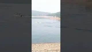 AMAZING VIEW NAKTI DAM#shorts#viral#feedshorts