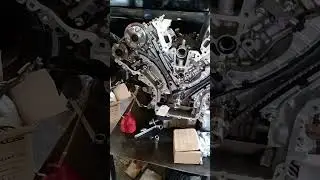 land cruiser engine timing  1ur (3ur)