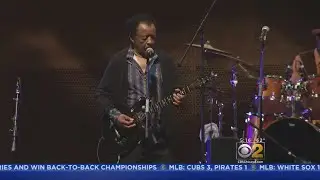 Chicago Blues Fest