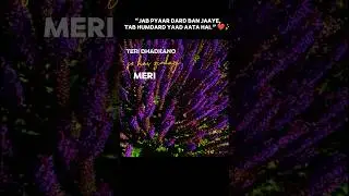 &ldquo;Hamdard in Lo-Fi hits different at 2 AM 💔🎧&rdquo;