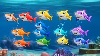 Rainbow Splash Sharks 🌈🦈 | Colorful Ocean Adventure Songs for Kids 🎶
