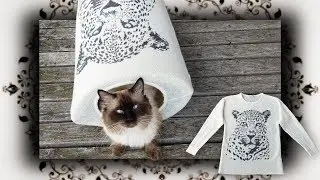 DIY 😻 Tunnel Höhle für Katzen | Recycle Cat Cave Tunel Tube from a sweater