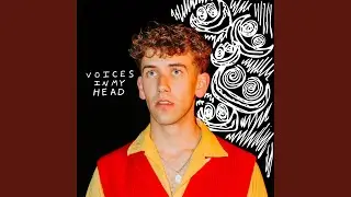 Voices In My Head (they said)